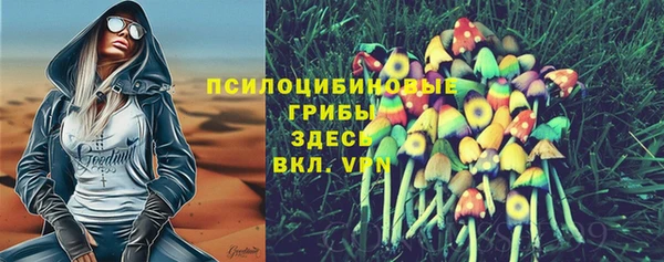 синтетический гашиш Козловка